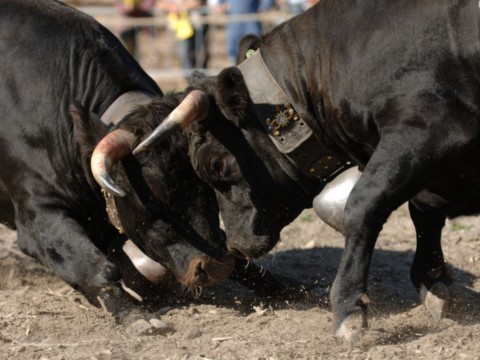 Eliminatoire Aproz 30